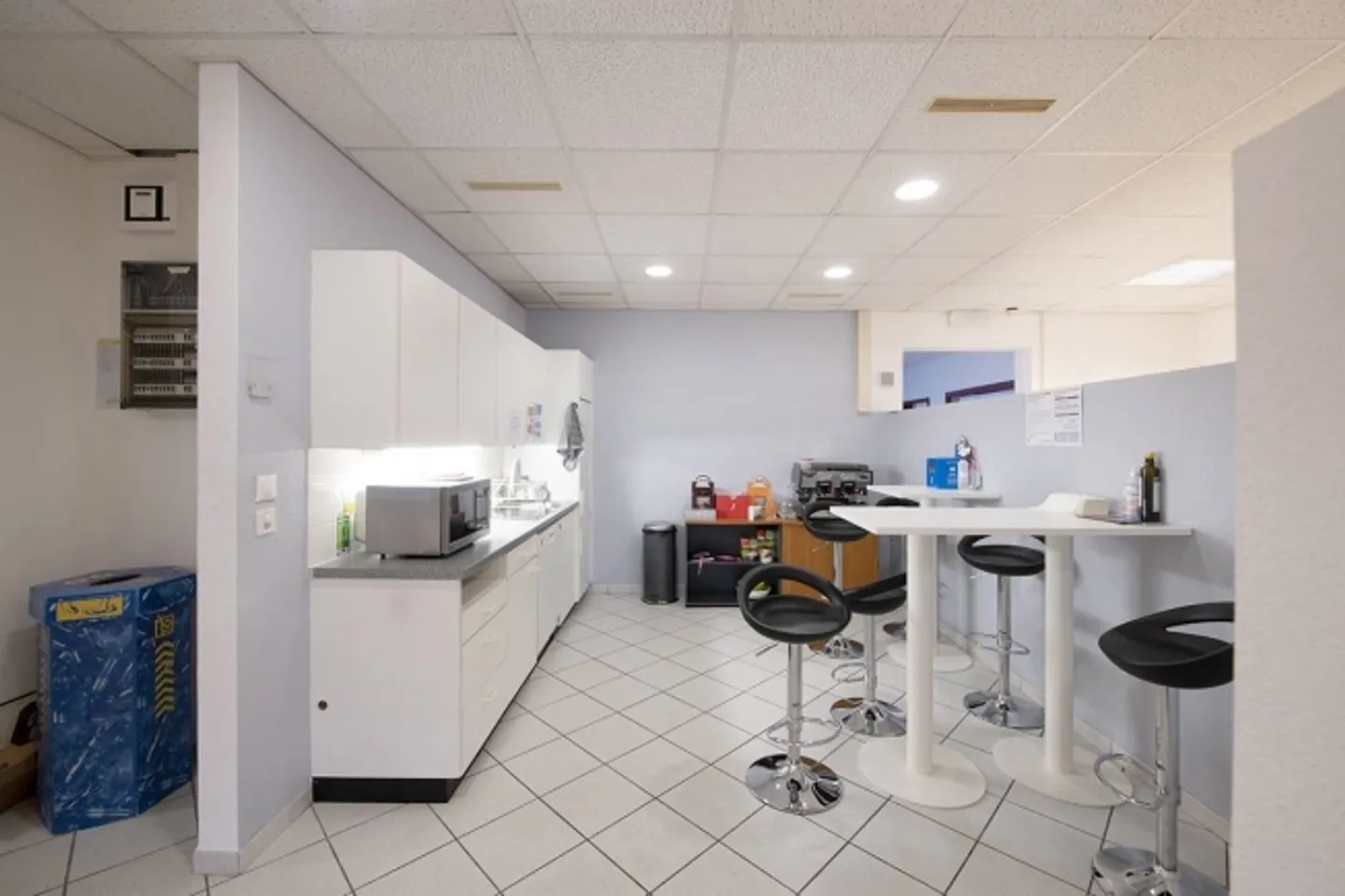 Plan-les-Ouates area of 430 m2 with terrace - Photo 3 of 8