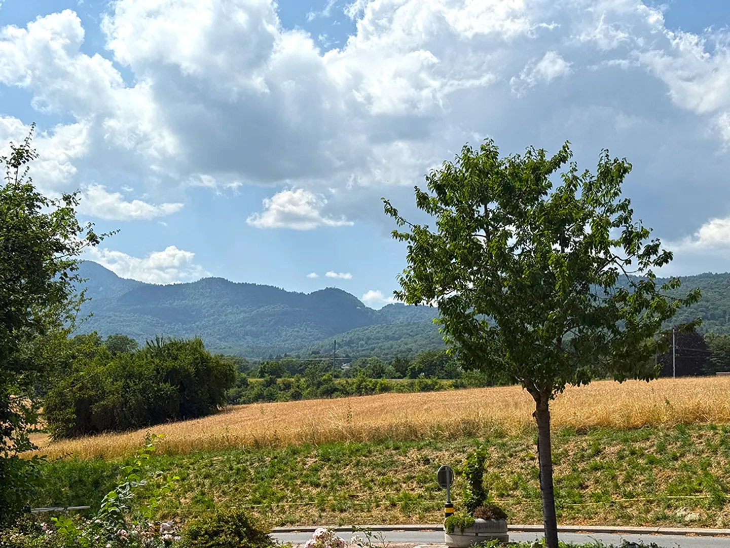 Villa 6,5 Zimmer - Foto 3 von 4