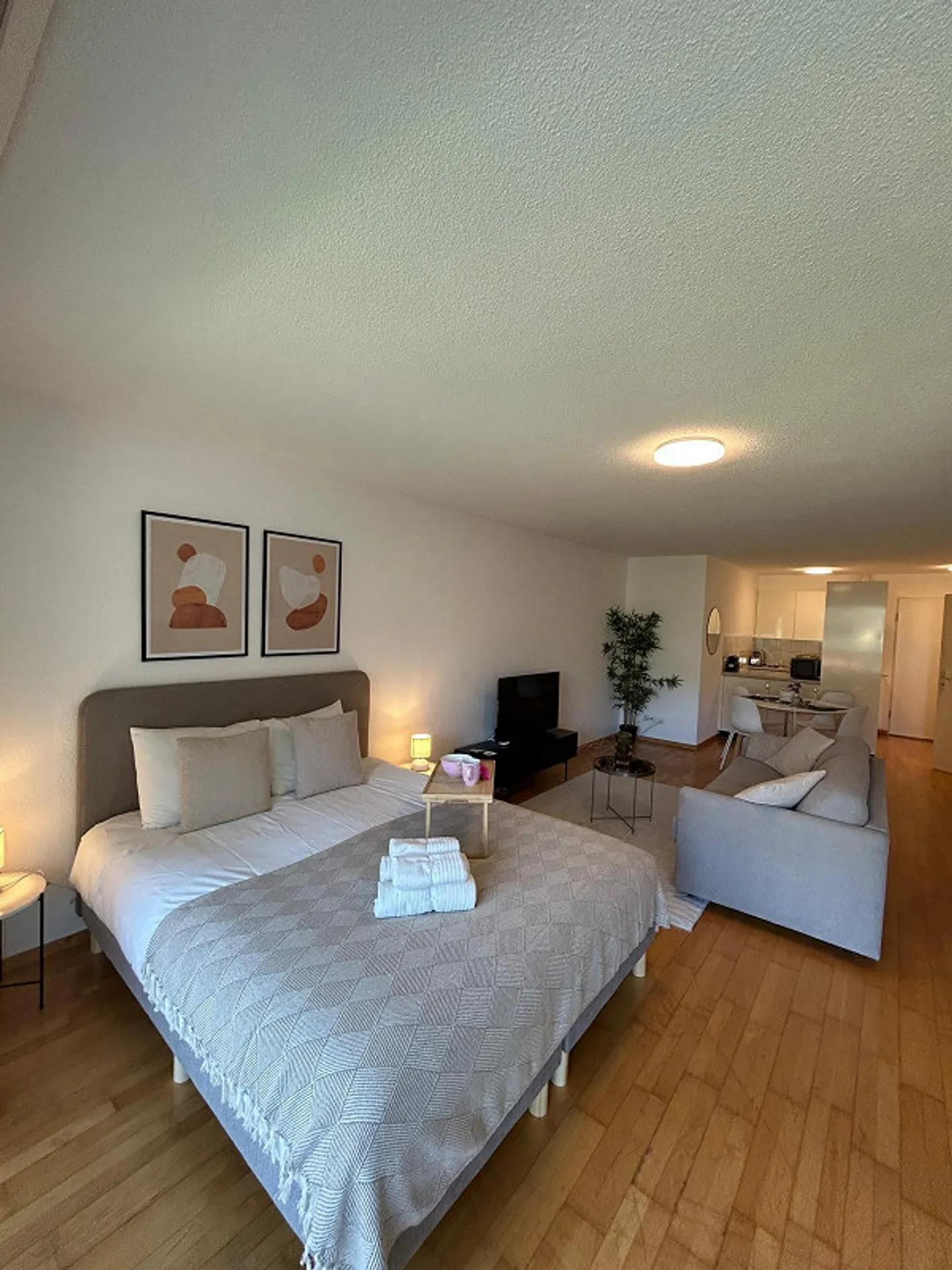 Grand studio, meublé - près de l'Europaallee + Gare principale de Zurich - Photo 5 sur 10