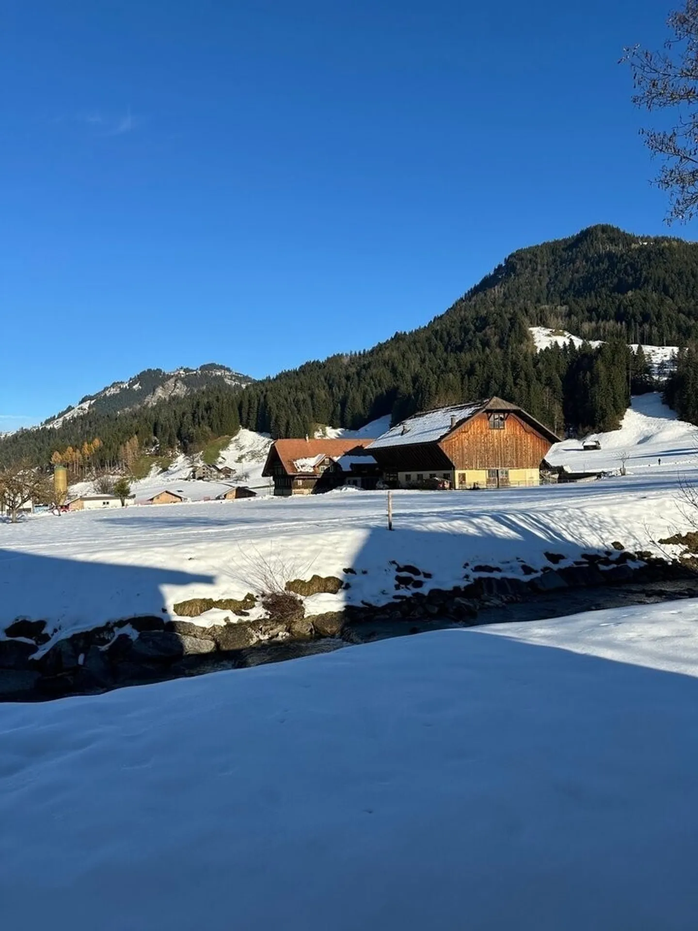 Votre nouvelle oasis de bien-être dans le vert - Photo 1 sur 7