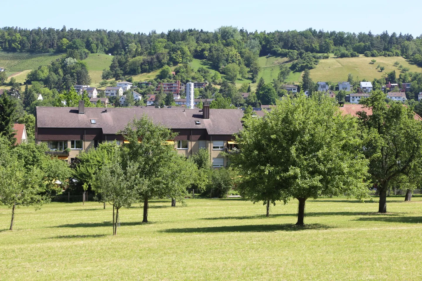 URBANO + VICINO ALLA NATURA - moderni appartamenti di 3,5 stanze con vista sul verde, Winterthur - Foto 7 di 10