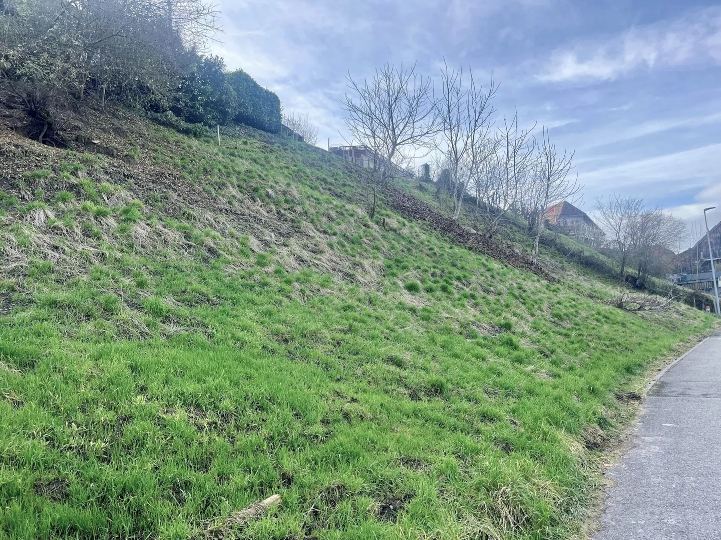 Attraktive Baulandparzelle von 659 m2 in Lüscherz an der Seestrasse - Foto 4 von 14