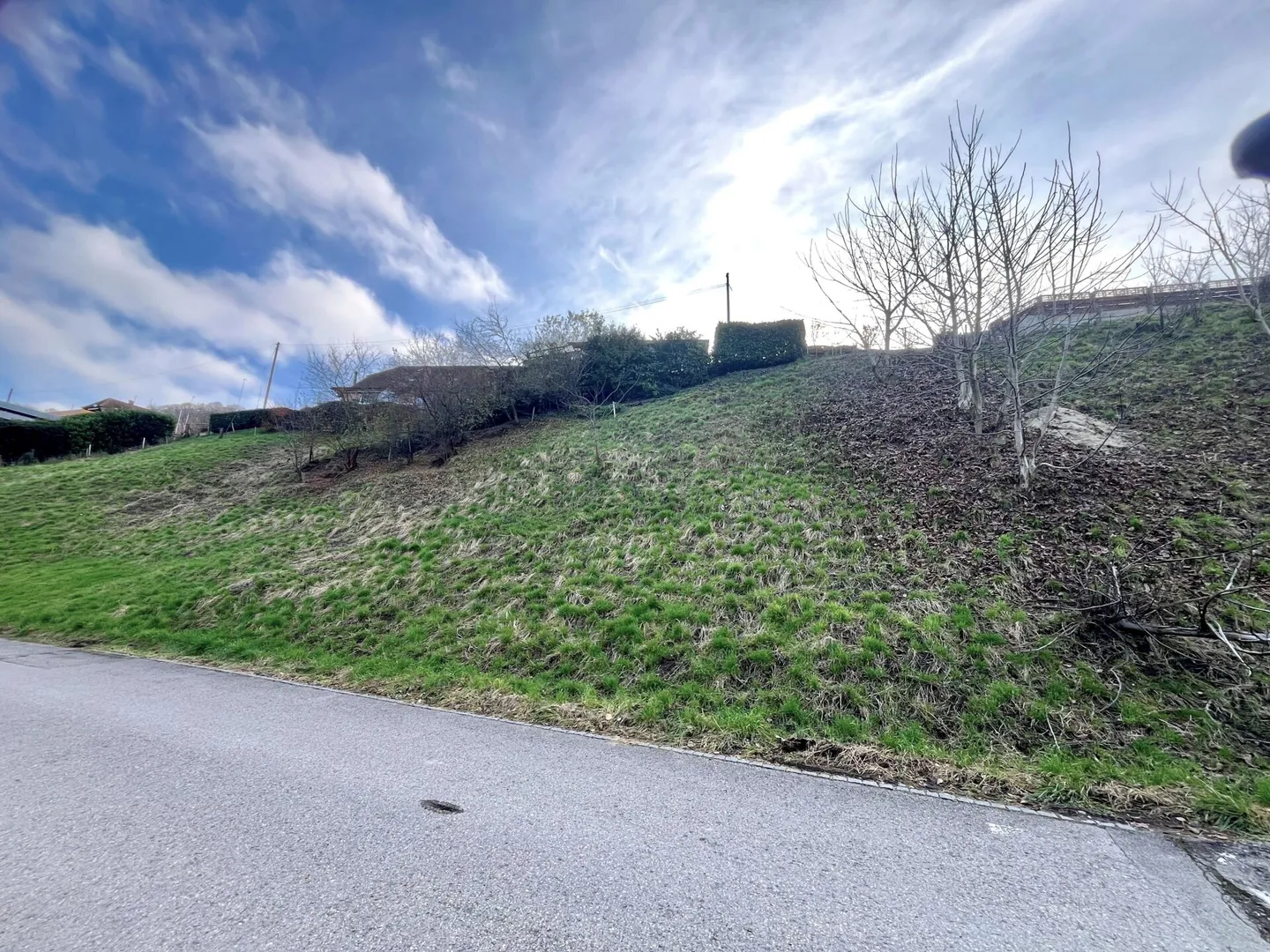 Attraktive Baulandparzelle von 659 m2 in Lüscherz an der Seestrasse - Foto 5 von 14