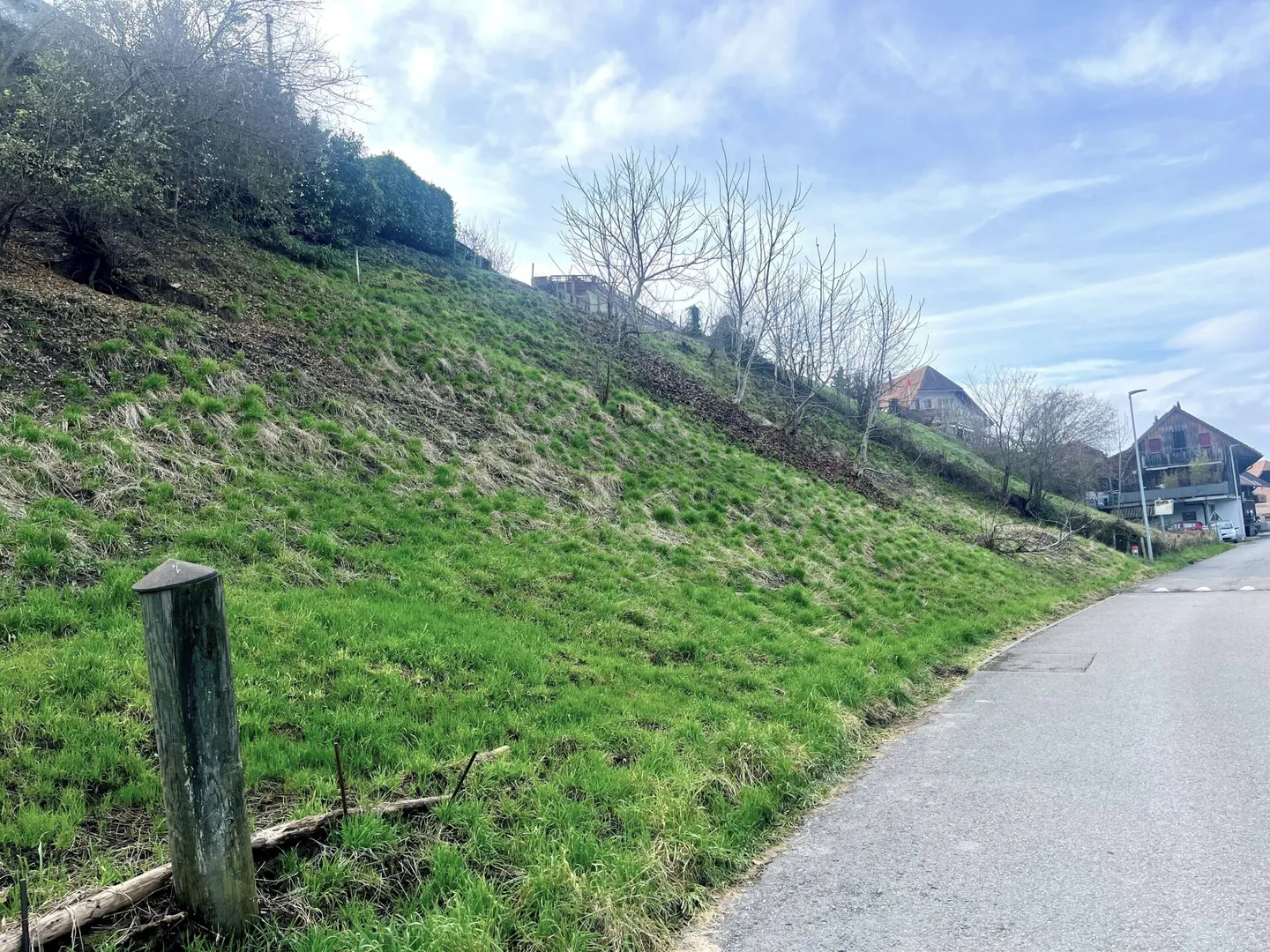 Attraktive Baulandparzelle von 659 m2 in Lüscherz an der Seestrasse - Foto 10 von 14