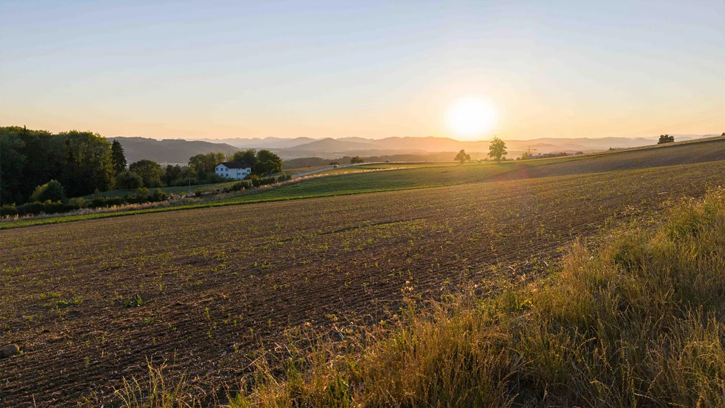 Natura. Vista ampia. Casa - «LIORA» a Remetschwil - Foto 7 di 11