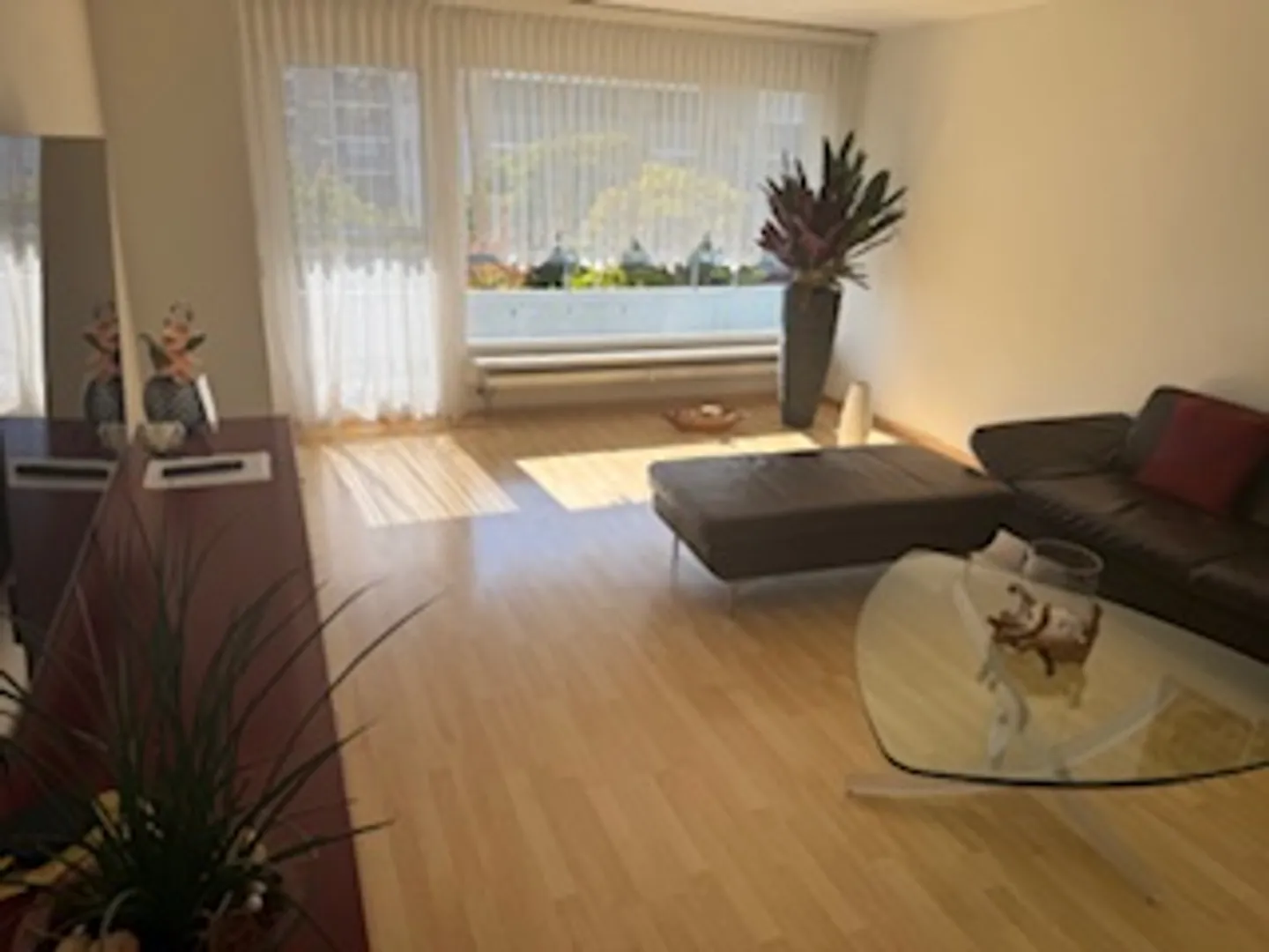 2.5 Room Apartment - Photo 2 of 7
