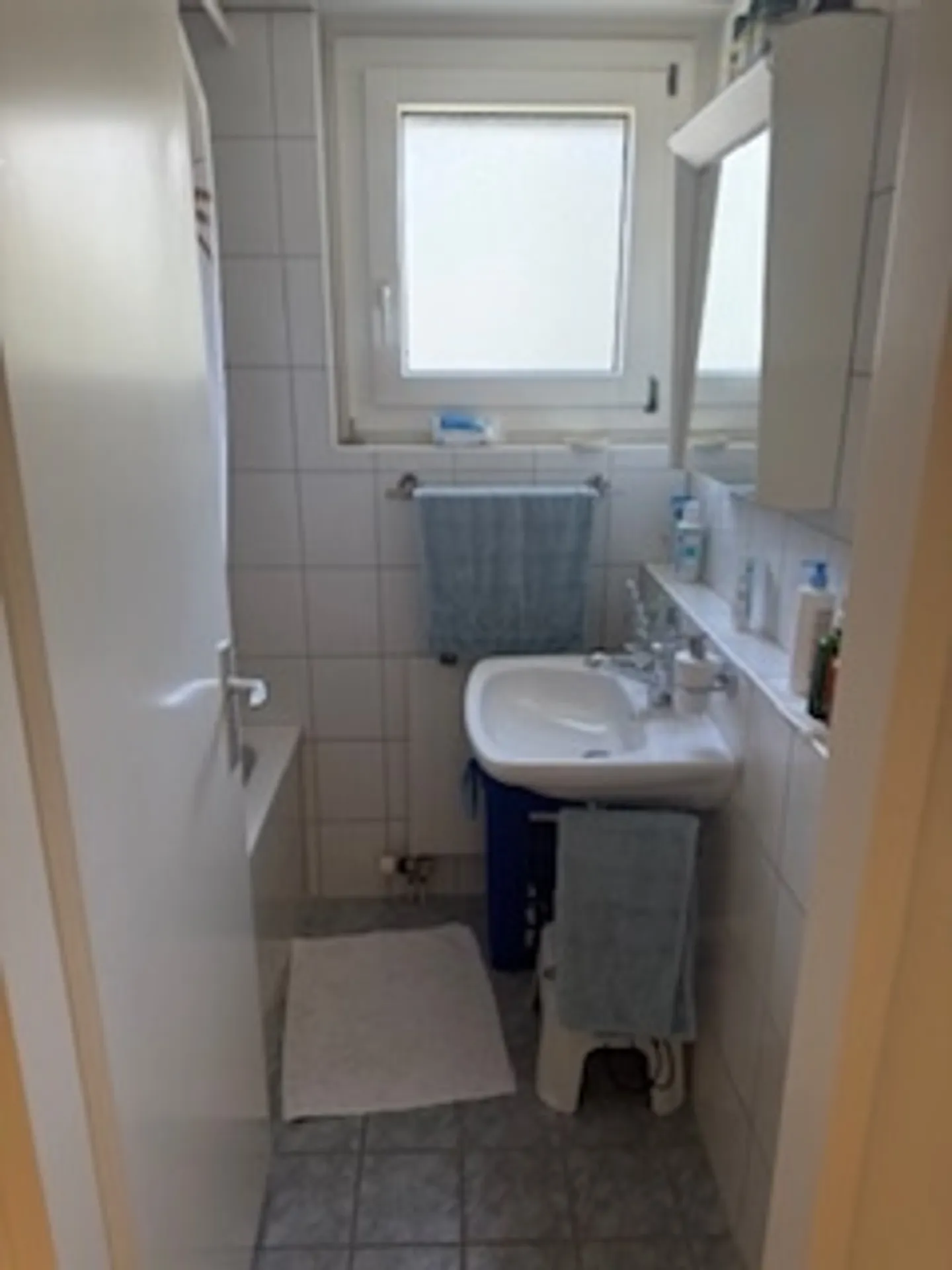 2.5 Room Apartment - Photo 6 of 7