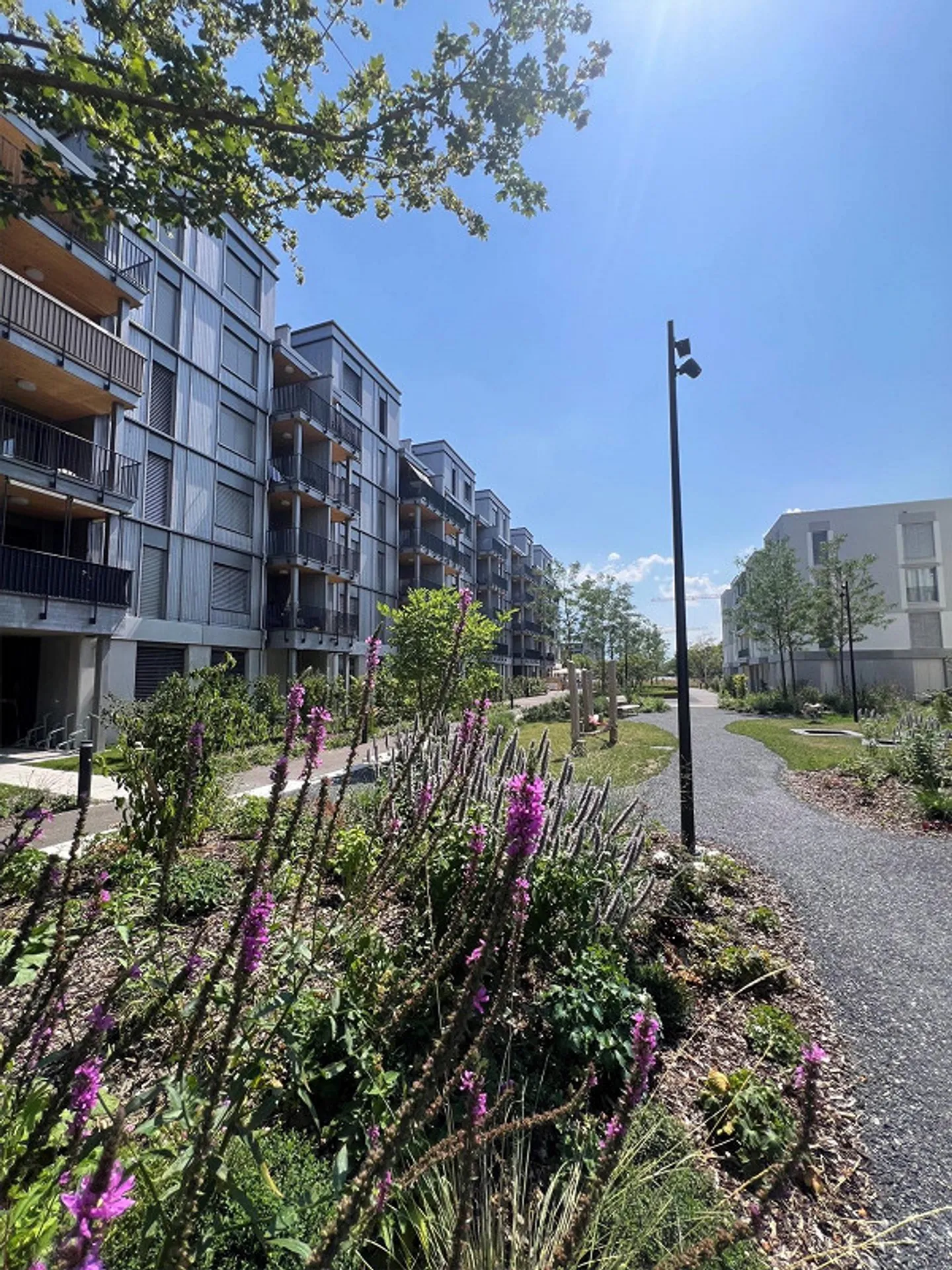 Rheincity Buchs / bright 4.5 ground floor apartments in an optimal location - Photo 1 of 18
