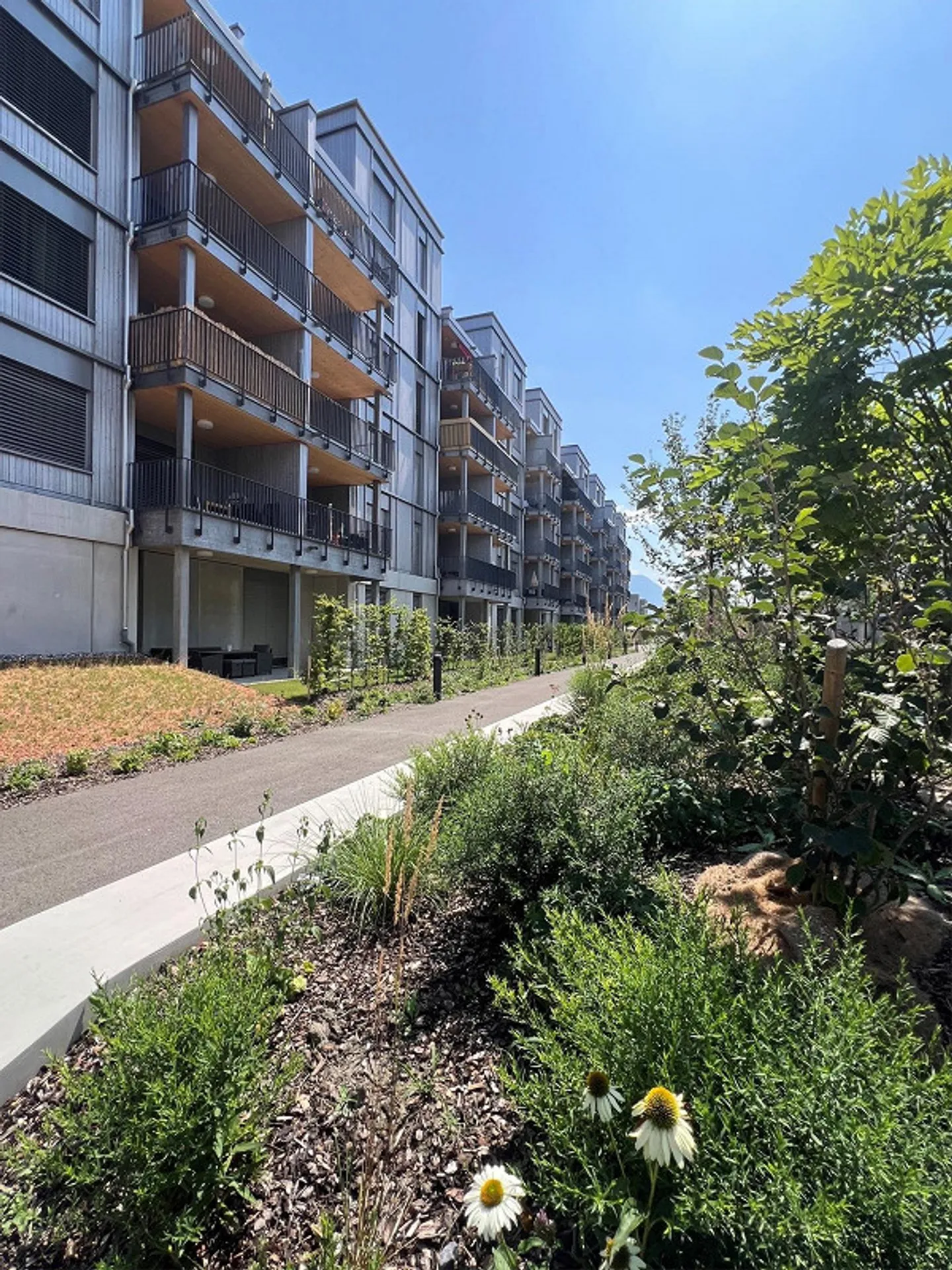 Rheincity Buchs / bright 4.5 ground floor apartments in an optimal location - Photo 16 of 18