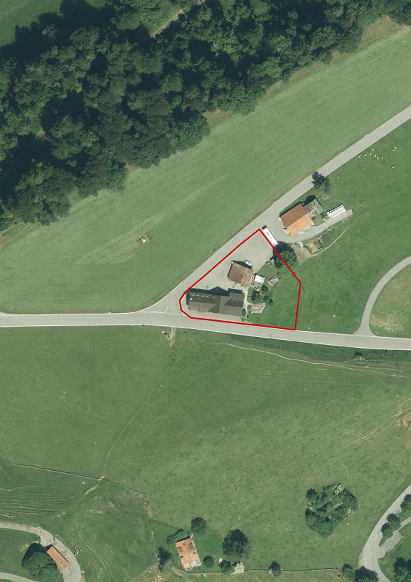 Unique Opportunity! - Photo 1 of 1