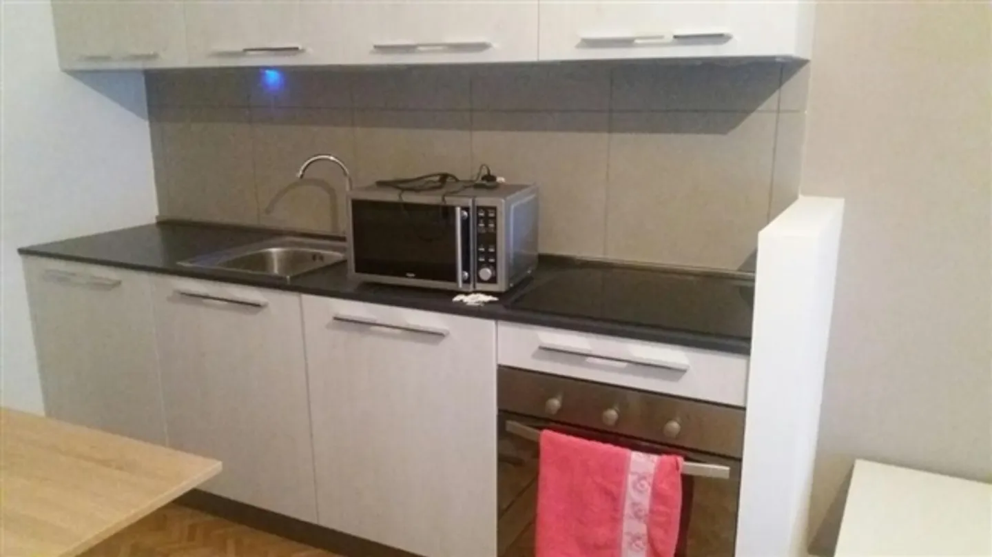 Income-generating apartment - Photo 2 of 15