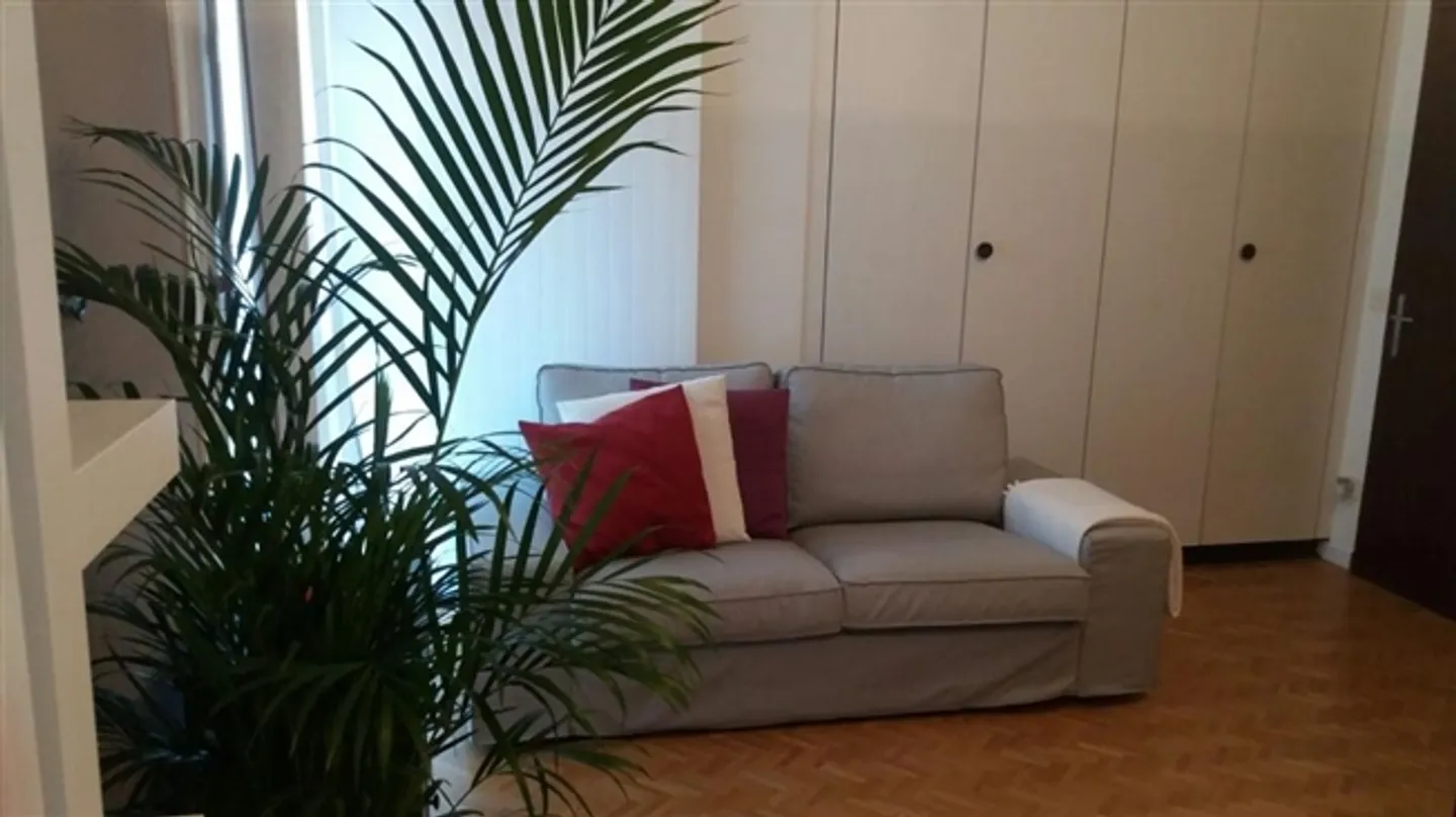 Income-generating apartment - Photo 6 of 15