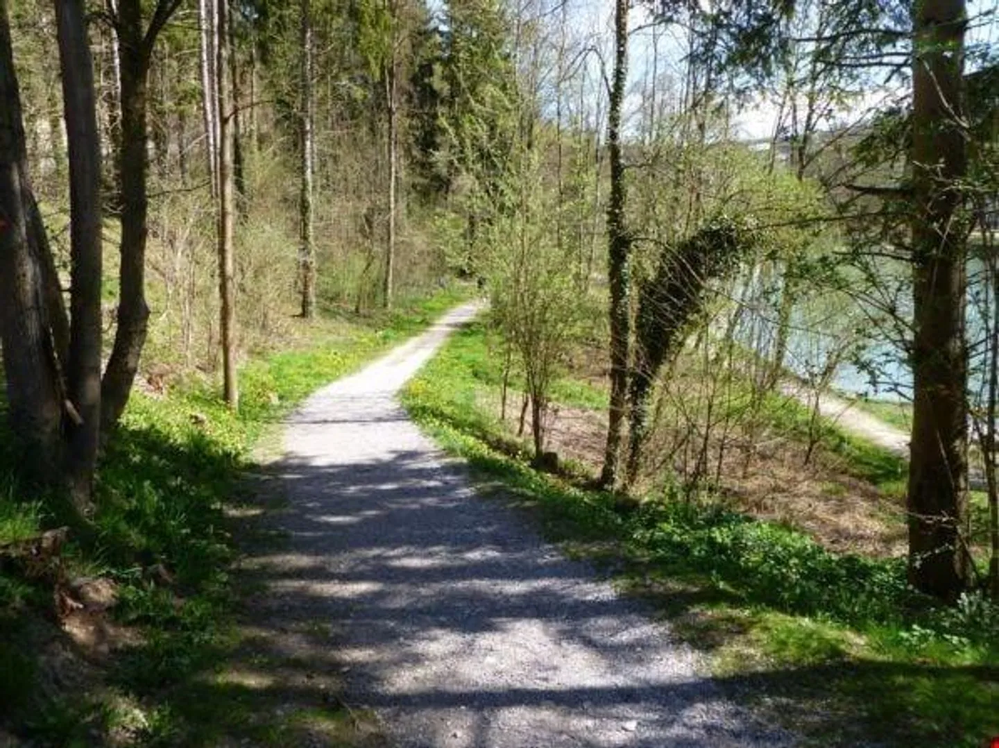 Nel bel quartiere di Ländli, vicino all'Aare! - Foto 10 di 11