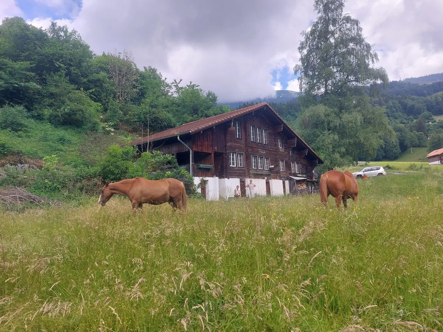 Chalet Incantevole con Vista sulla Natura - Foto 1 di 10