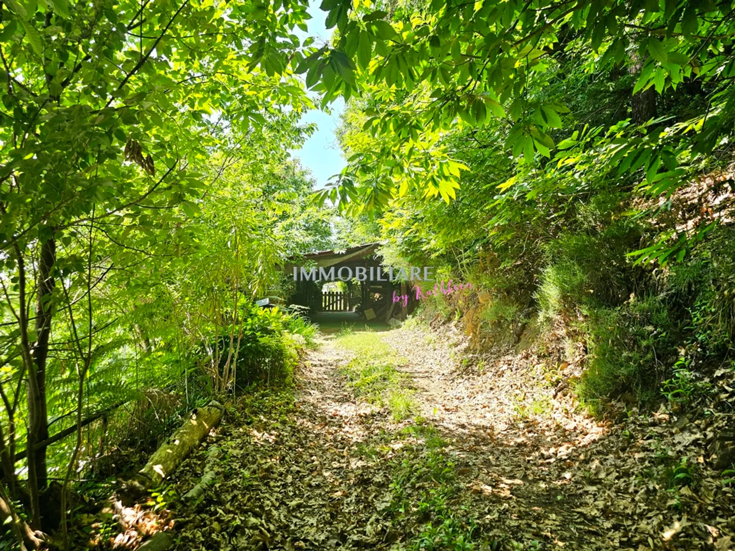 Leben in der Natur, 2.300 m² Baugrundstück, Panoramablick - Foto 11 von 14