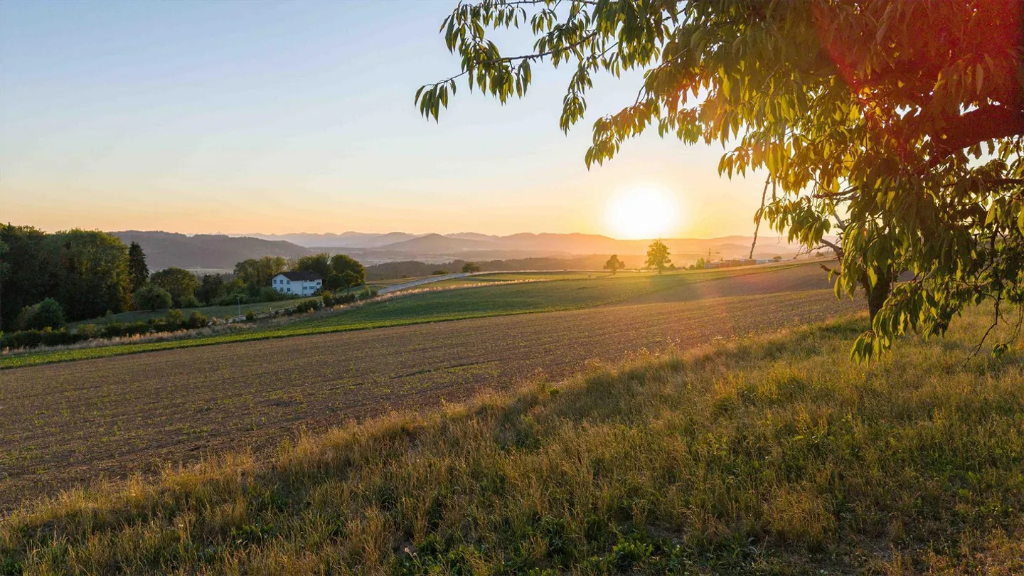 Natura. Vista lontana. Casa - «LIORA» a Remetschwil - Foto 9 di 12