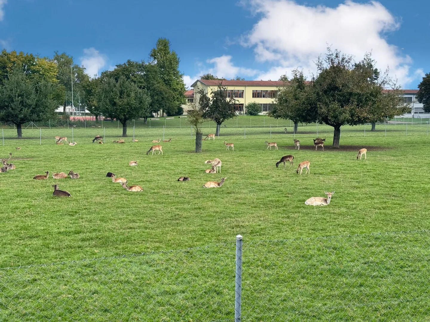 Vivere moderno con idillio da giardino a Höri - Foto 11 di 11