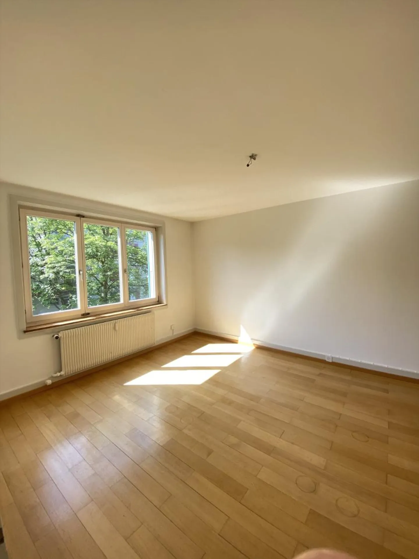 Appartamento Incantevole a Berna - Foto 1 di 5