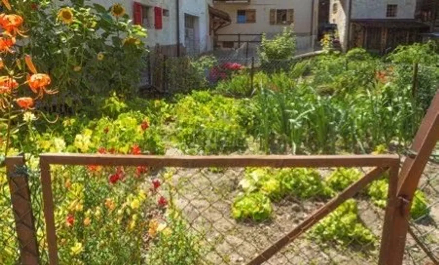 Appartamento ristrutturato con giardino - Foto 2 di 13