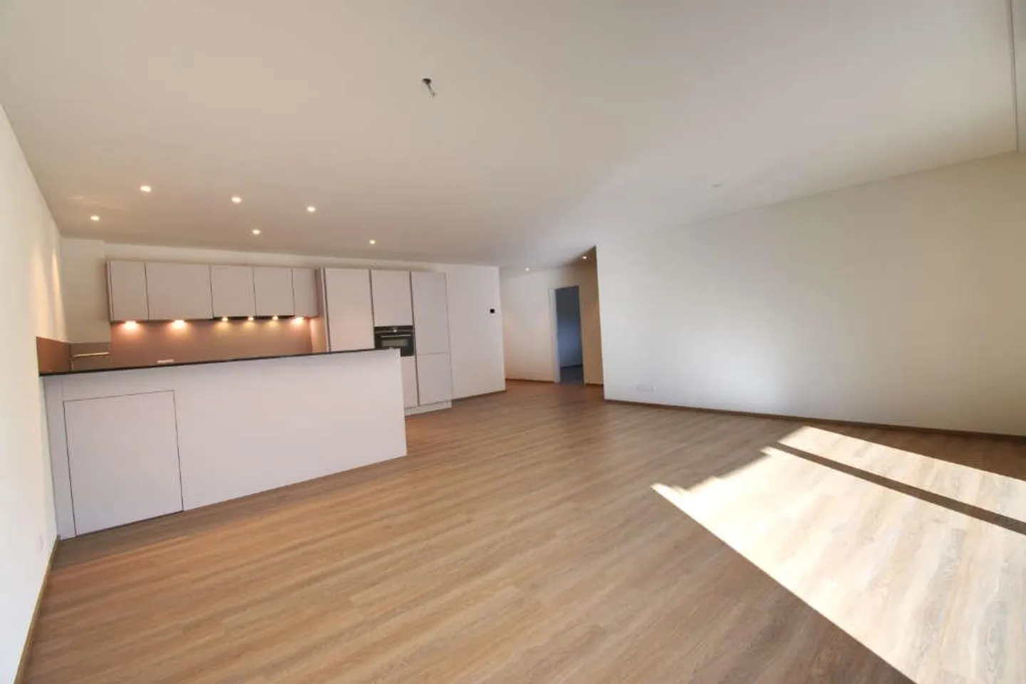 Spacious 4.5 Room Apartment with Beautiful View as Primary Residence - Photo 5 of 19