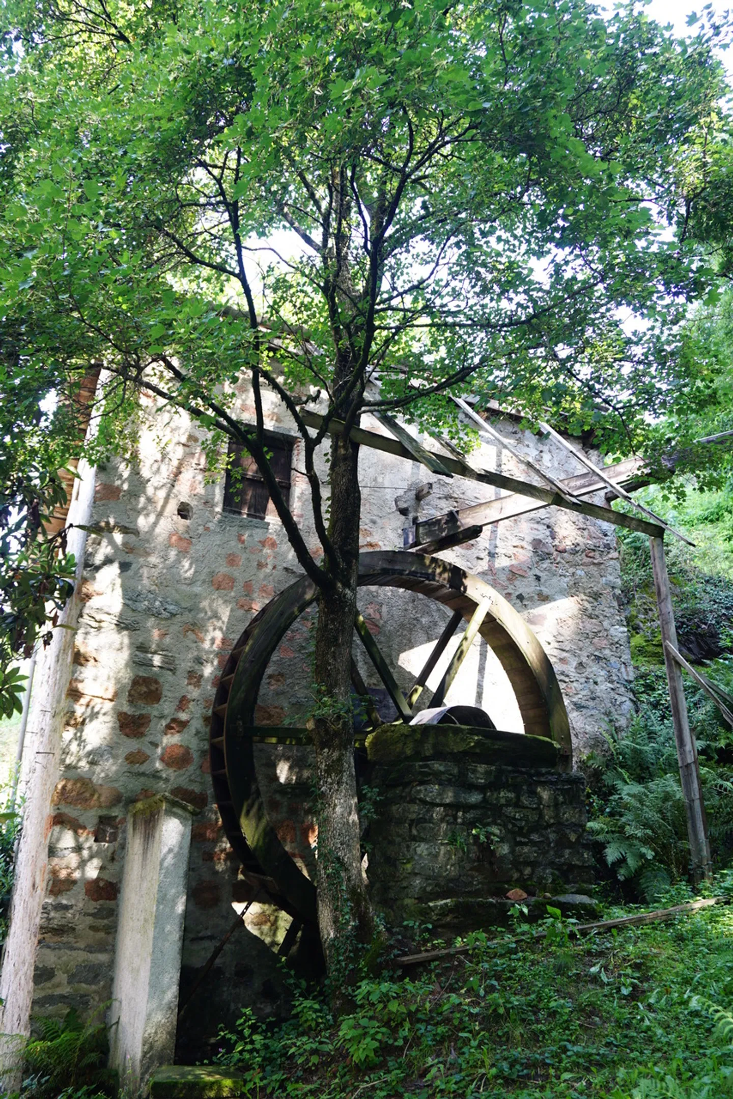 NUCLEO DI 3 CASE CON VIGNETO E MULINO DEL 1600 - Foto 11 di 15