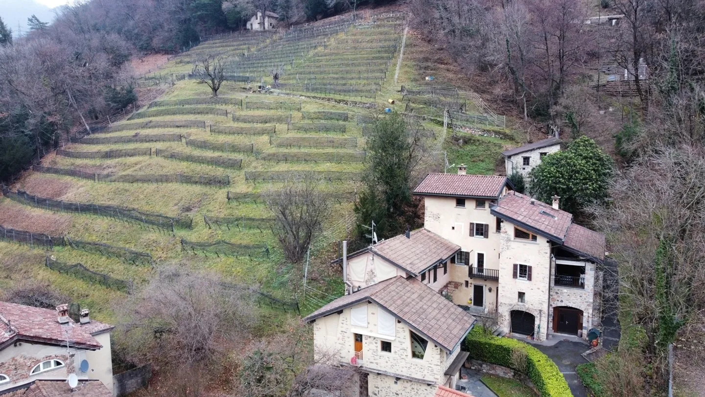 NUCLEO DI 3 CASE CON VIGNETO E MULINO DEL 1600 - Foto 15 di 15