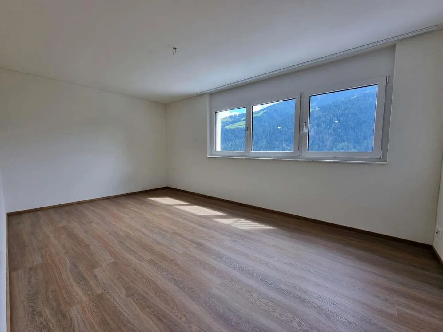 Spacious 4.5 Room Apartment with Beautiful View as Primary Residence - Photo 11 of 19