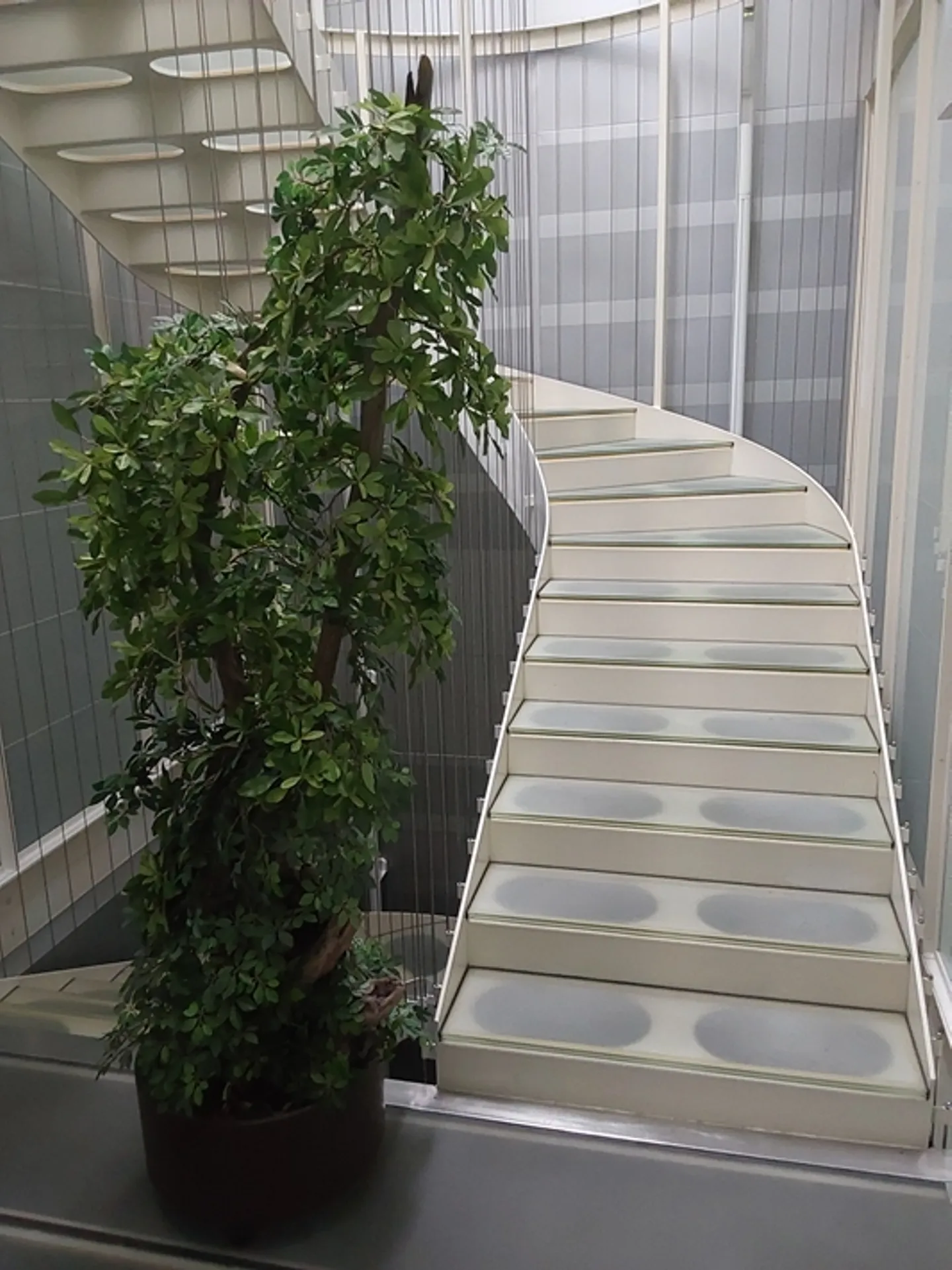 Exceptional Commercial Space - Photo 7 of 13