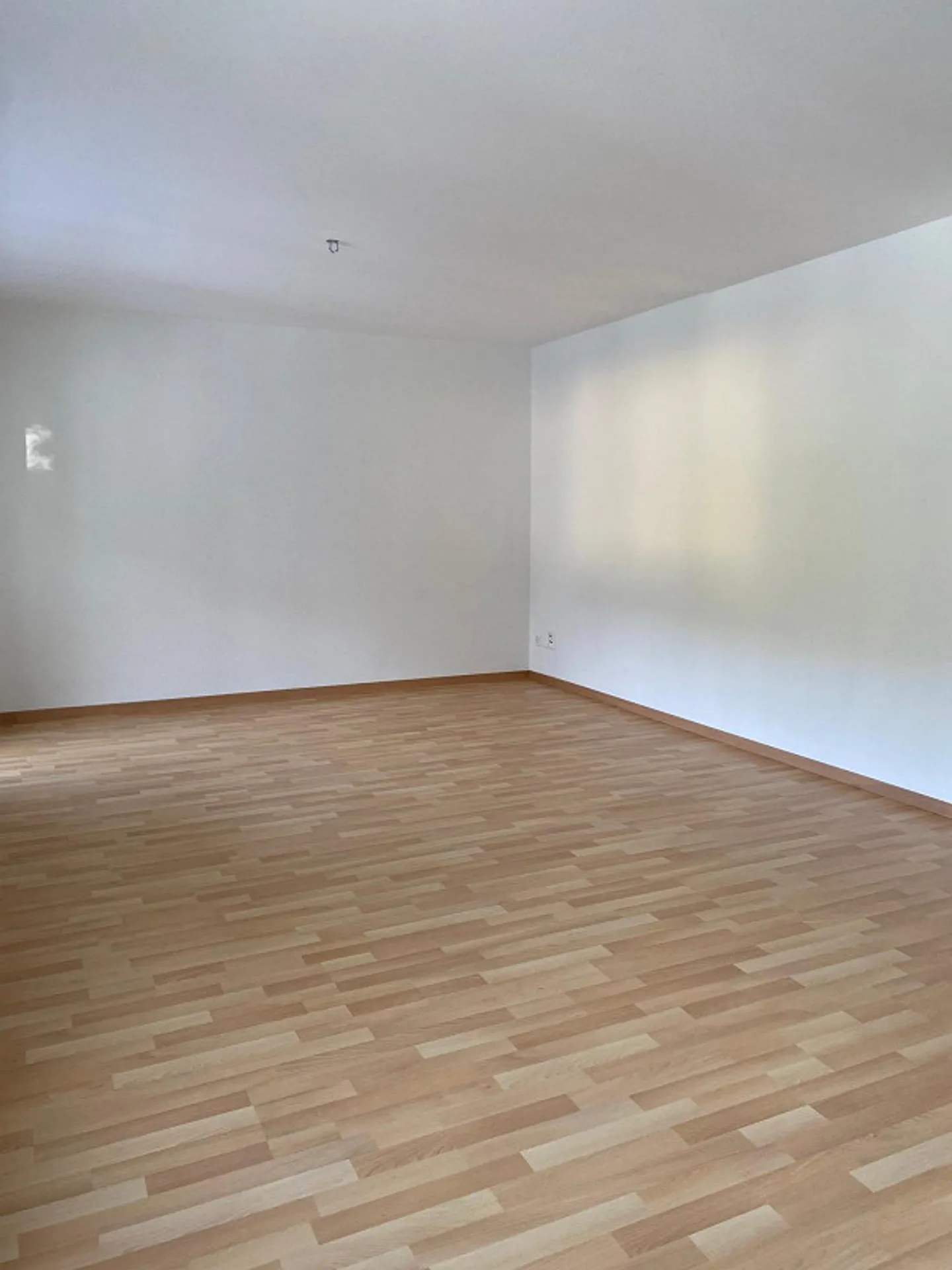 4.5-Zimmer-Wohnung in Buchs - Foto 3 von 10