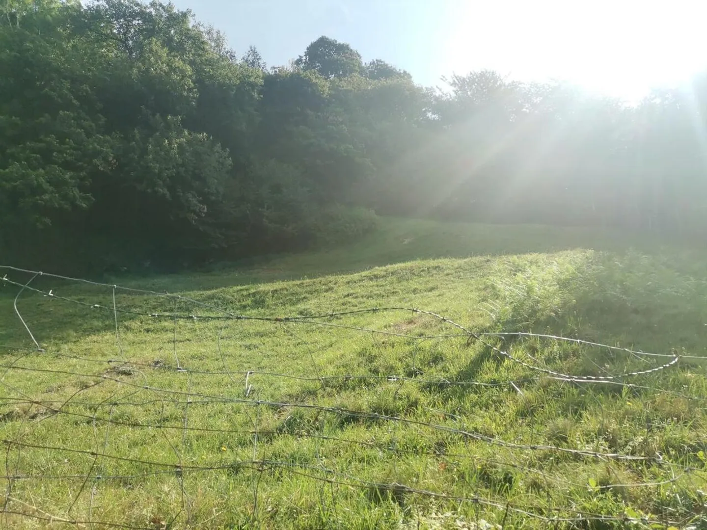 Sonniges Baugrundstück in Muggio - Foto 4 von 8