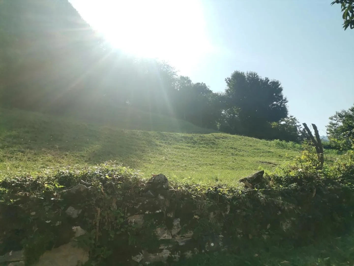 Sonniges Baugrundstück in Muggio - Foto 5 von 8