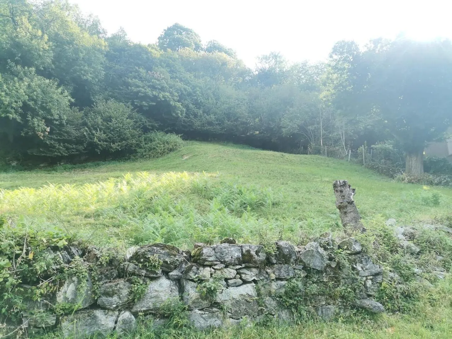 Sonniges Baugrundstück in Muggio - Foto 6 von 8