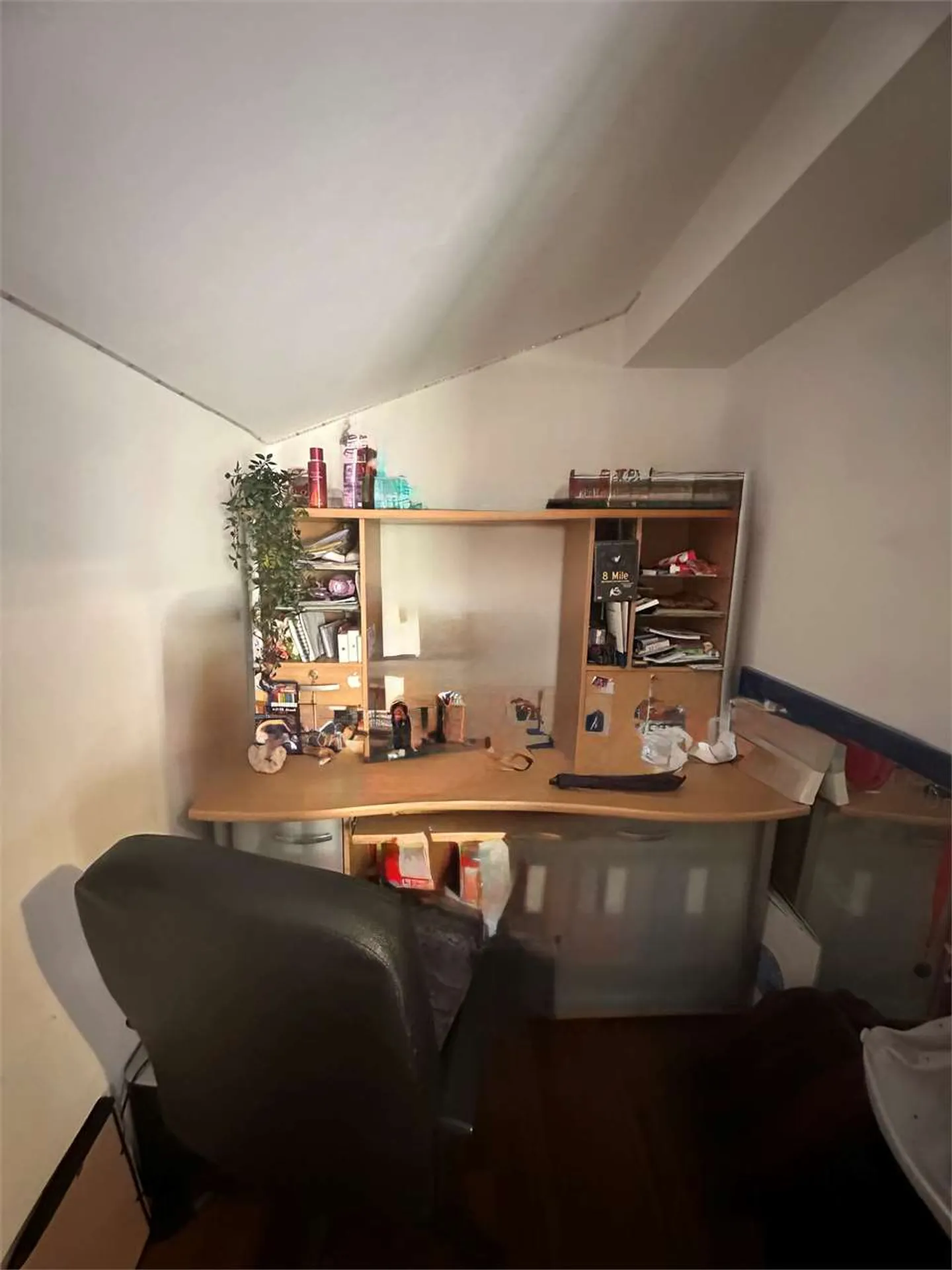 Penthouse with Lake View in Lugano - Photo 25 of 38