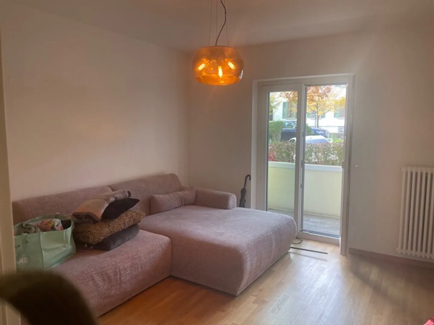 2.5 Room Apartment - Photo 2 of 4