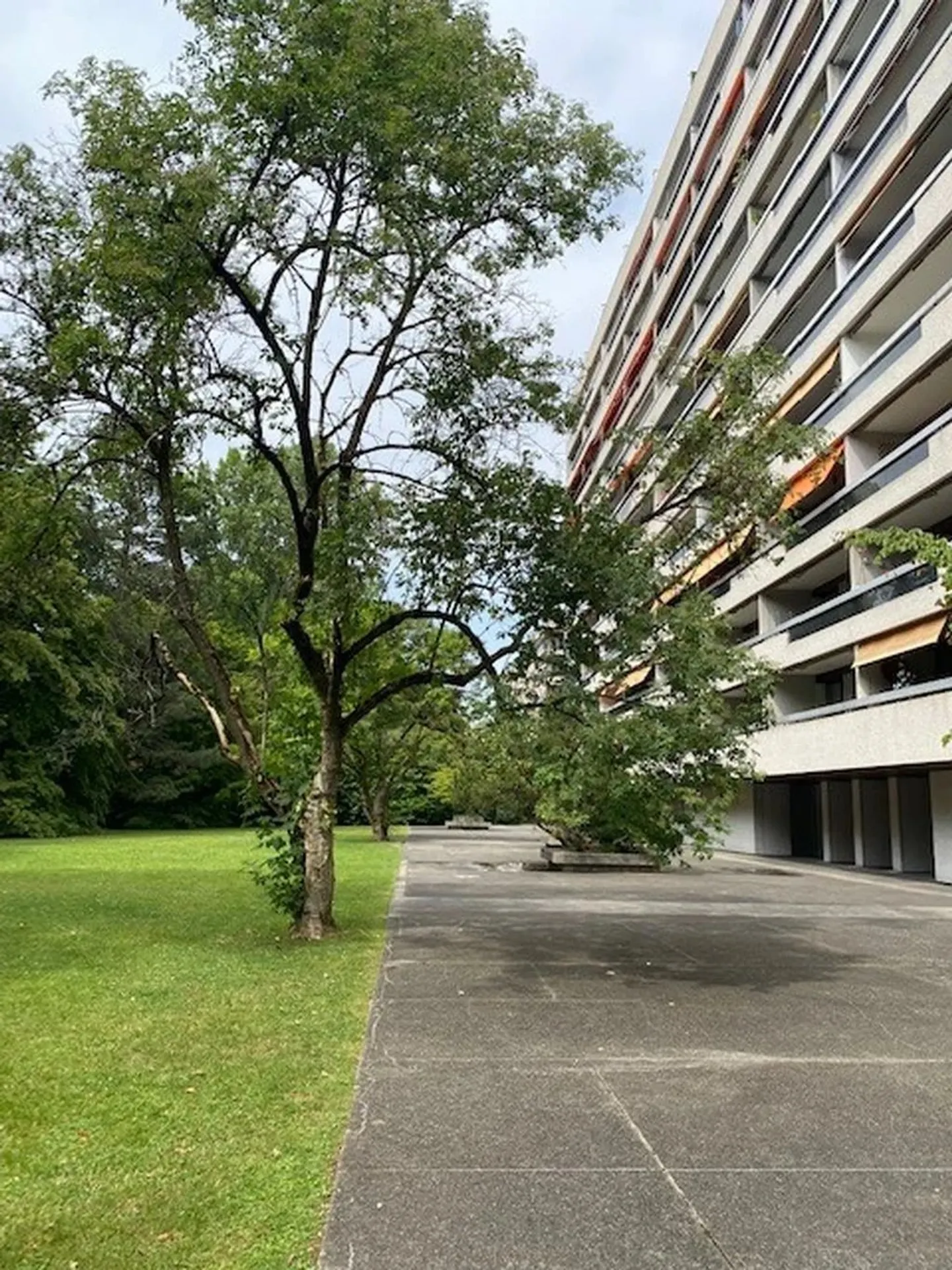 Appartement spacieux aux Eaux-Vives - Photo 1 sur 6