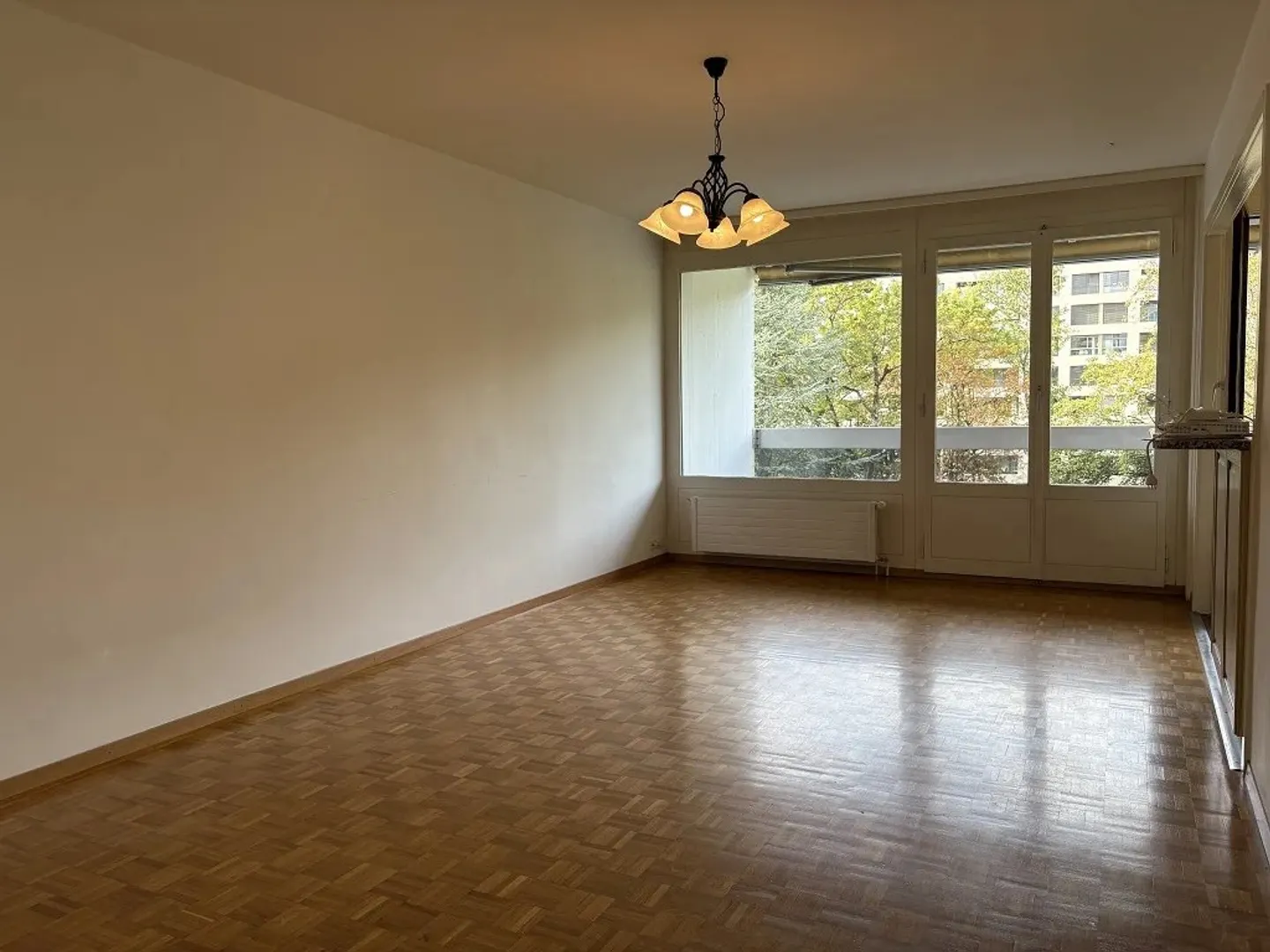 Appartement spacieux aux Eaux-Vives - Photo 3 sur 6