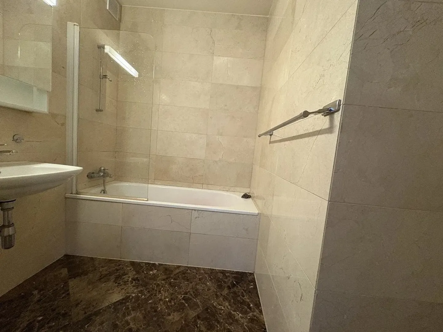 Appartement spacieux aux Eaux-Vives - Photo 4 sur 6