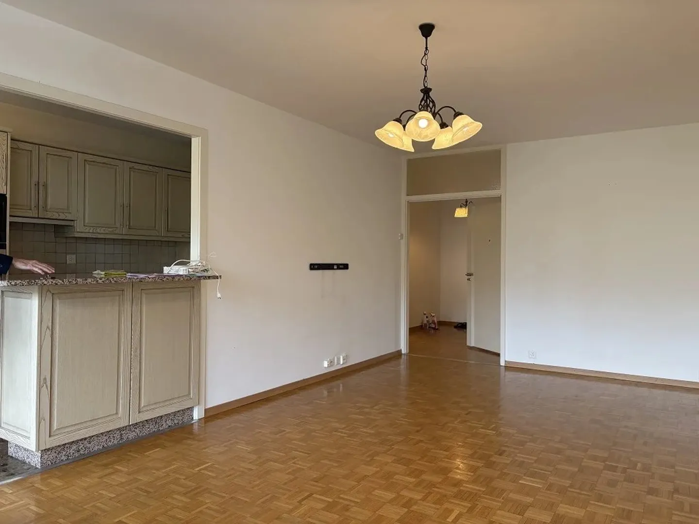 Appartement spacieux aux Eaux-Vives - Photo 6 sur 6