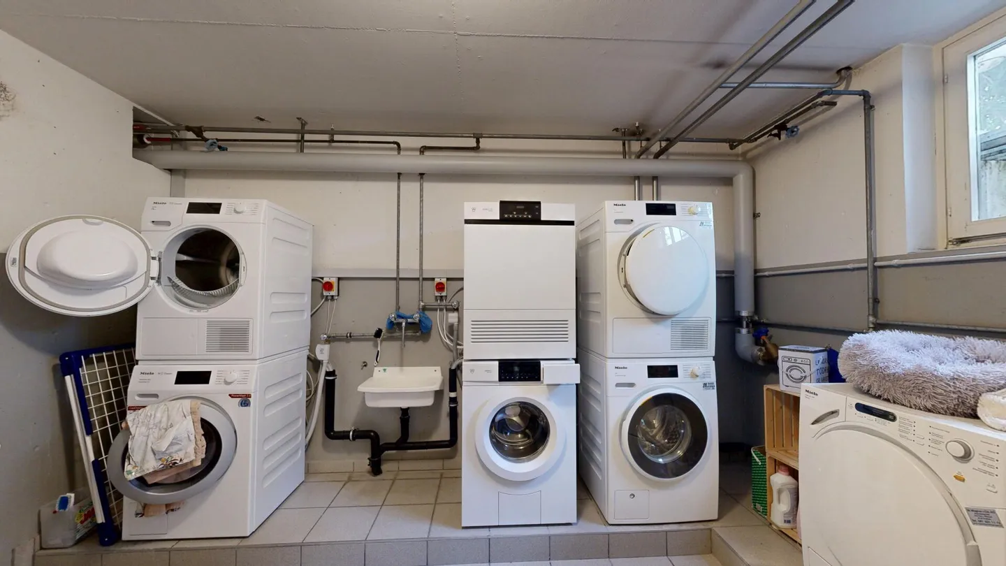 Luce, spazio e qualità abitativa - Appartamento modernizzato in una zona tranquilla di Riehen - Foto 13 di 15