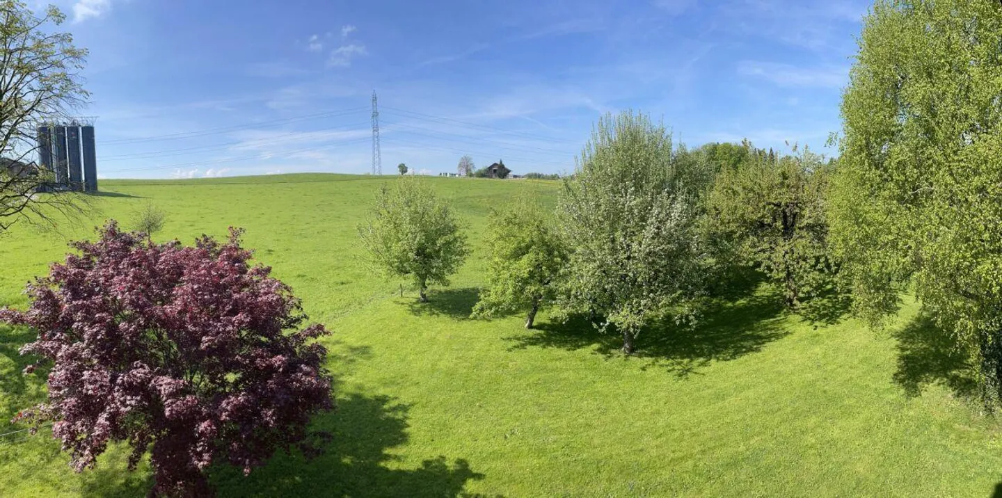Living Space in Unique Location: Idyllic Peace and Pure Nature - Historic Farmhouse (not under heritage protection) with additional plot with outbuilding and garage - Photo 3 of 17