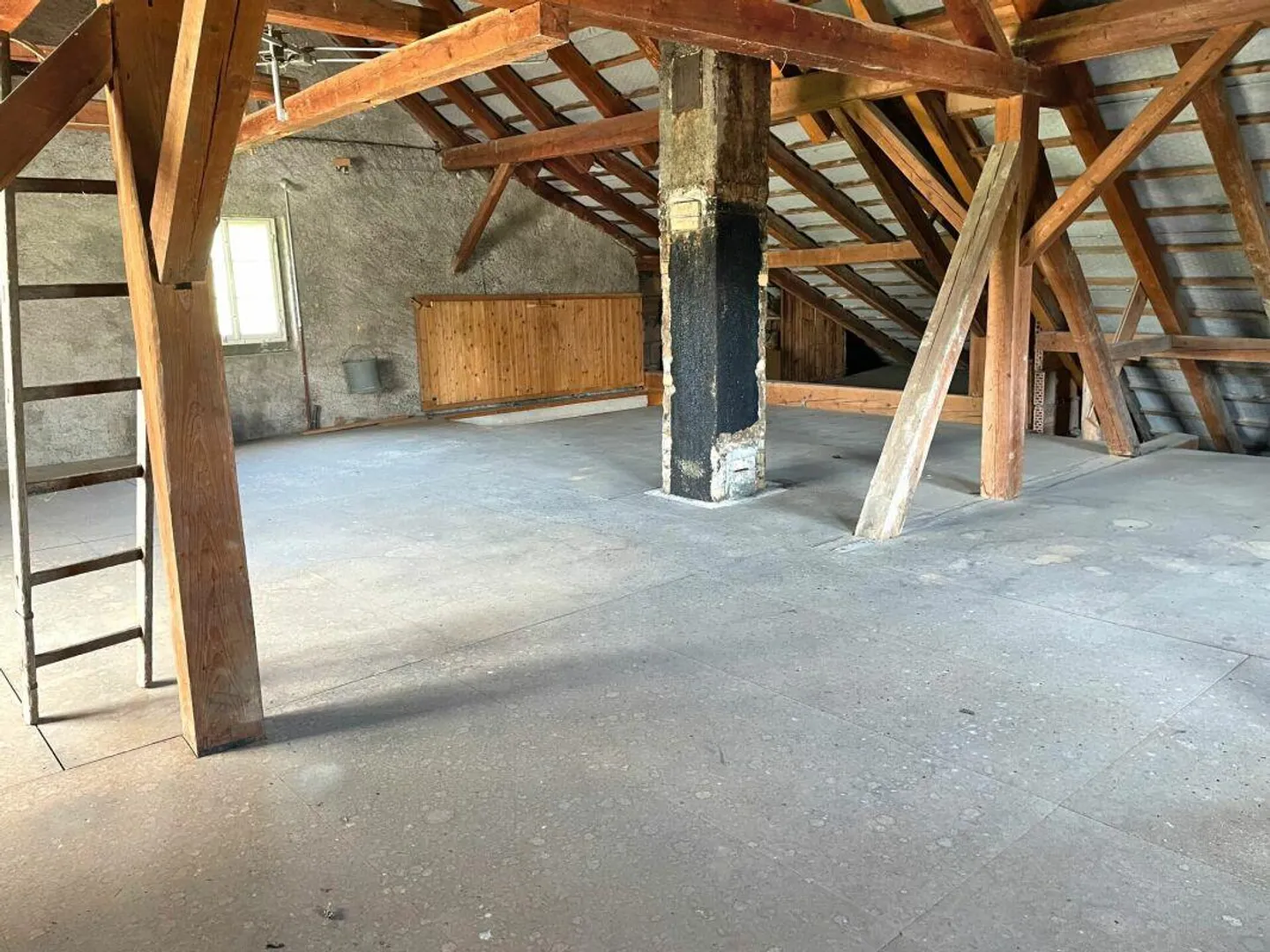 Living Space in Unique Location: Idyllic Peace and Pure Nature - Historic Farmhouse (not under heritage protection) with additional plot with outbuilding and garage - Photo 16 of 17