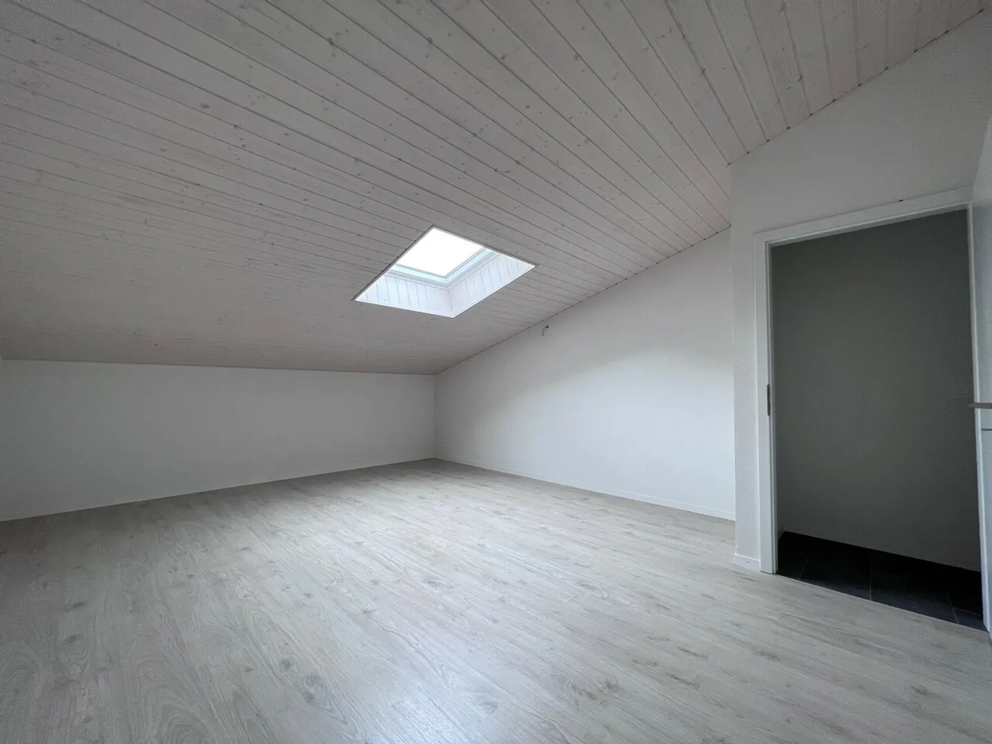 Magnificent 4.5 room duplex - Photo 3 of 7