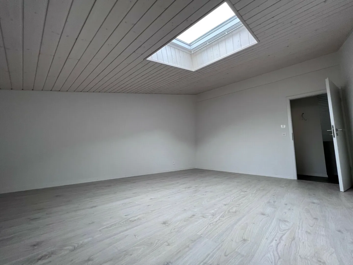 Magnificent 4.5 room duplex - Photo 4 of 7