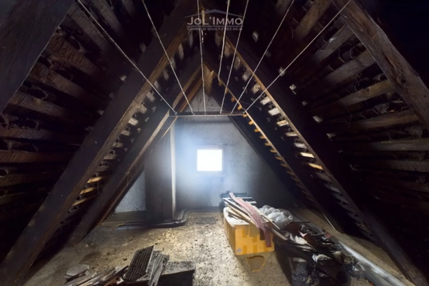 Magnificent and large building with a commercial space - Photo 5 of 8