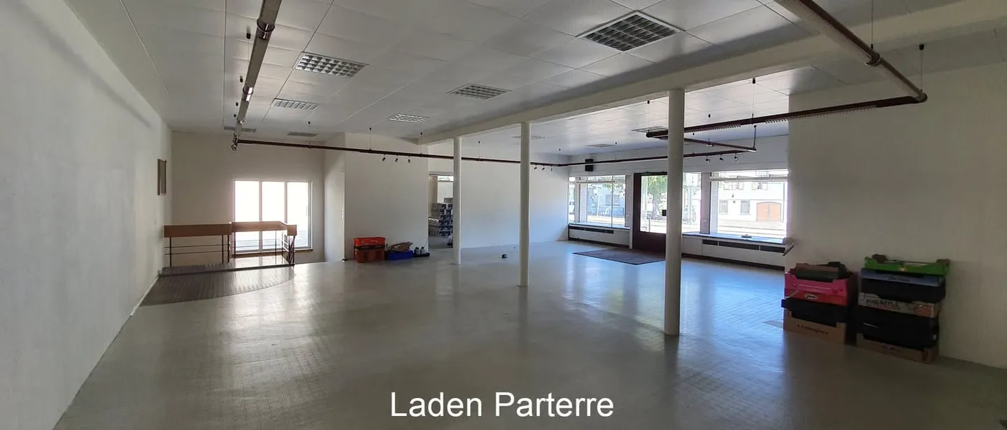 Locaux commerciaux, bureaux, cabinets à Bernstrasse 183 - Photo 3 sur 6
