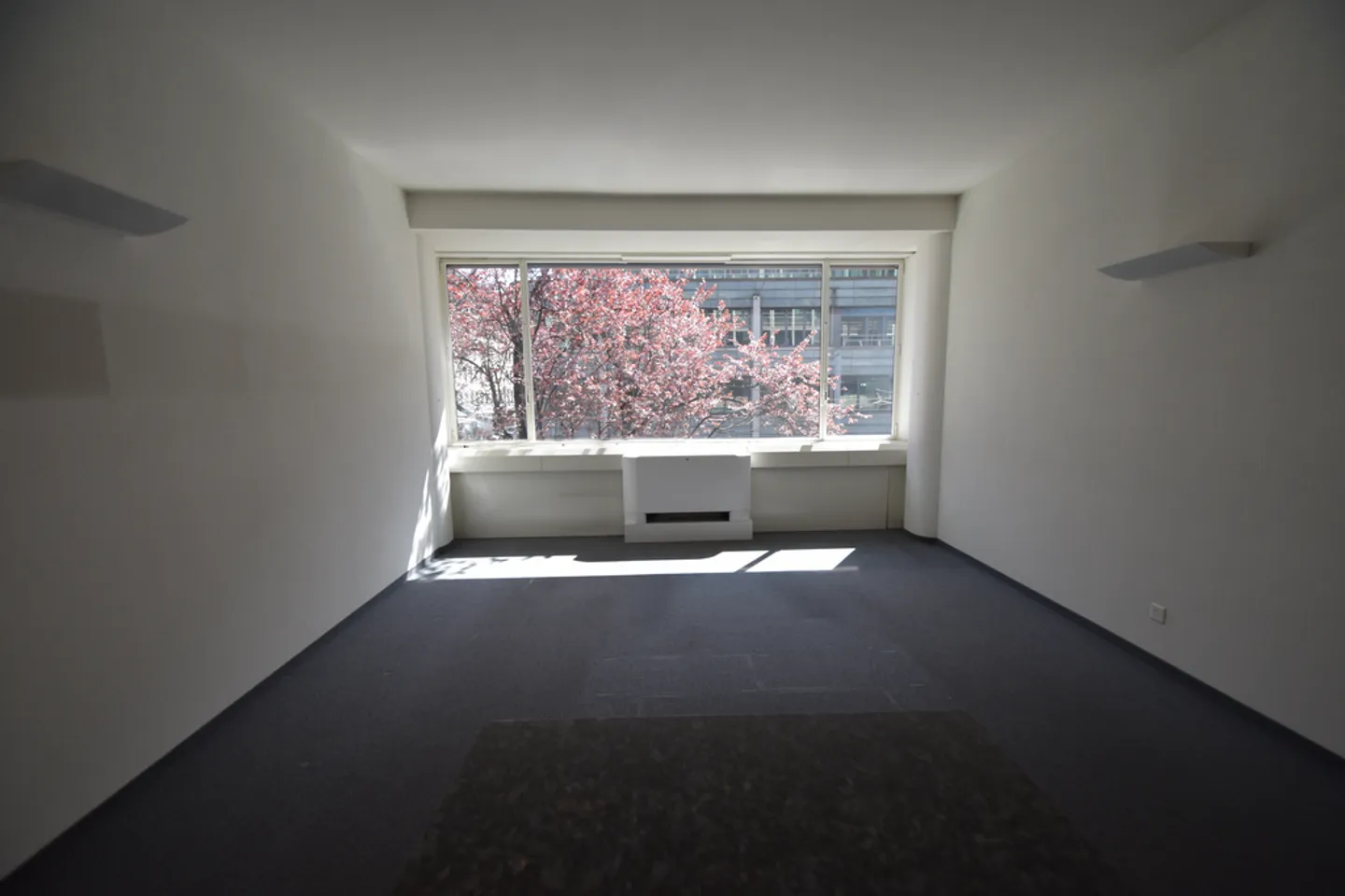 BLEICHERHOF - Realizza le tue visioni - Foto 5 di 11