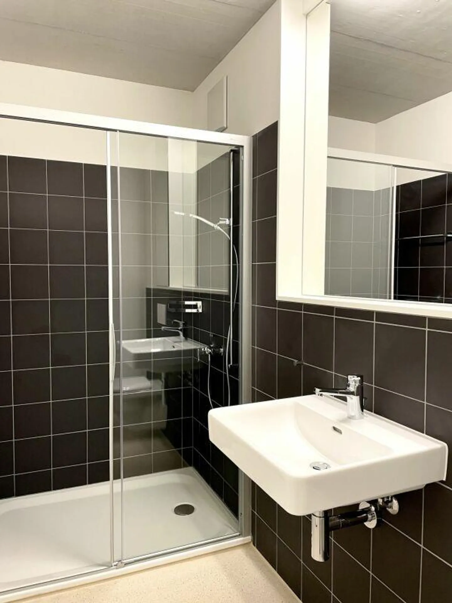 Modern and Stylish Apartment with Private Washing Tower in Flawil - Photo 10 of 13