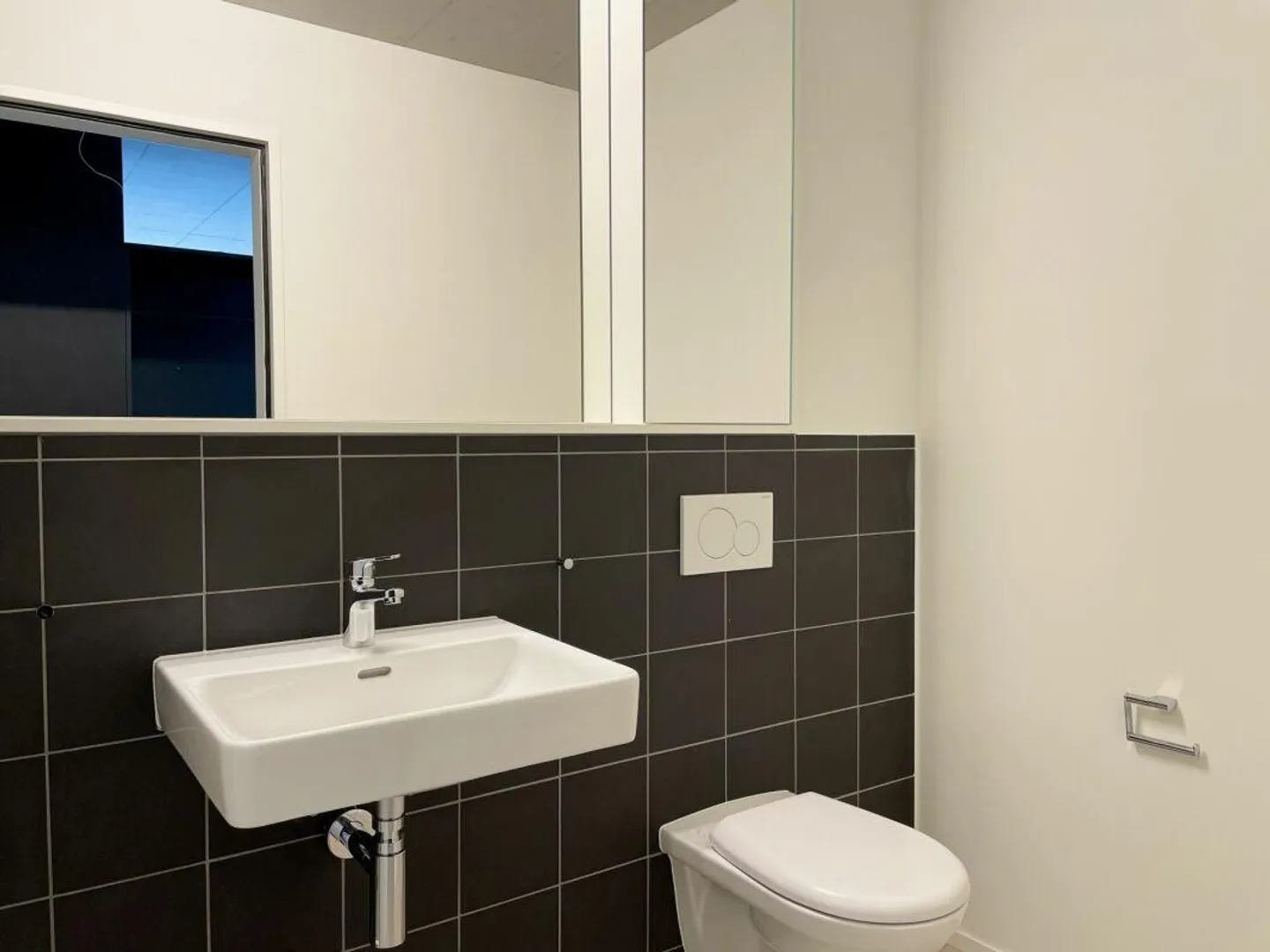 Modern and Stylish Apartment with Private Washing Tower in Flawil - Photo 11 of 13