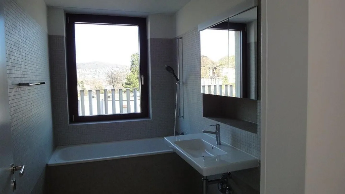 La plus belle vue de Zurich - Photo 6 sur 8