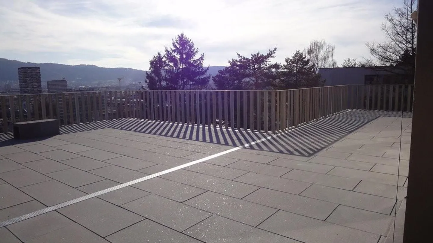 La plus belle vue de Zurich - Photo 7 sur 8